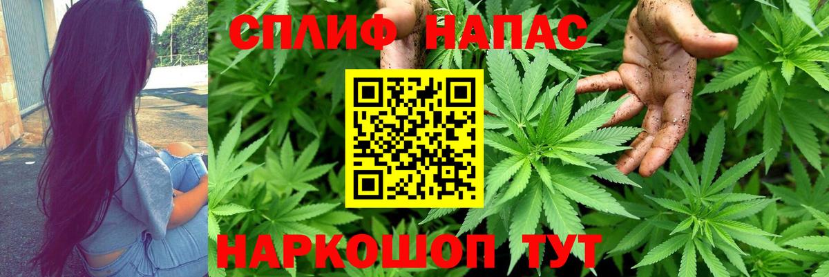 Конопля конопля Киржач